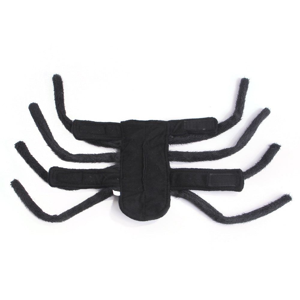 Pet Halloween Spider Costume