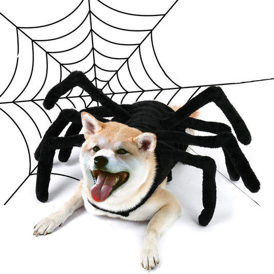 Pet Halloween Spider Costume