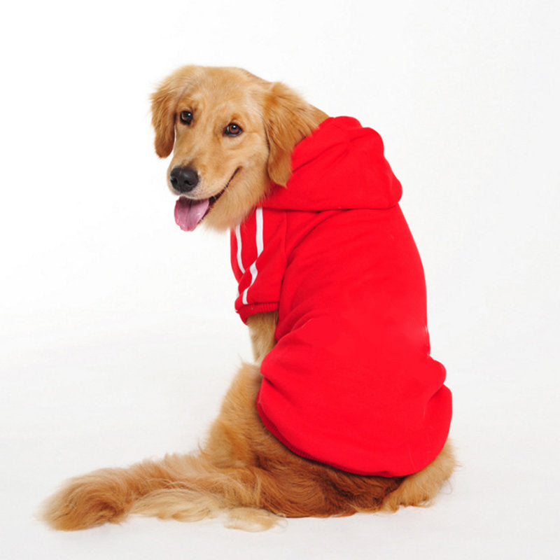 Dog Sweater with Hood