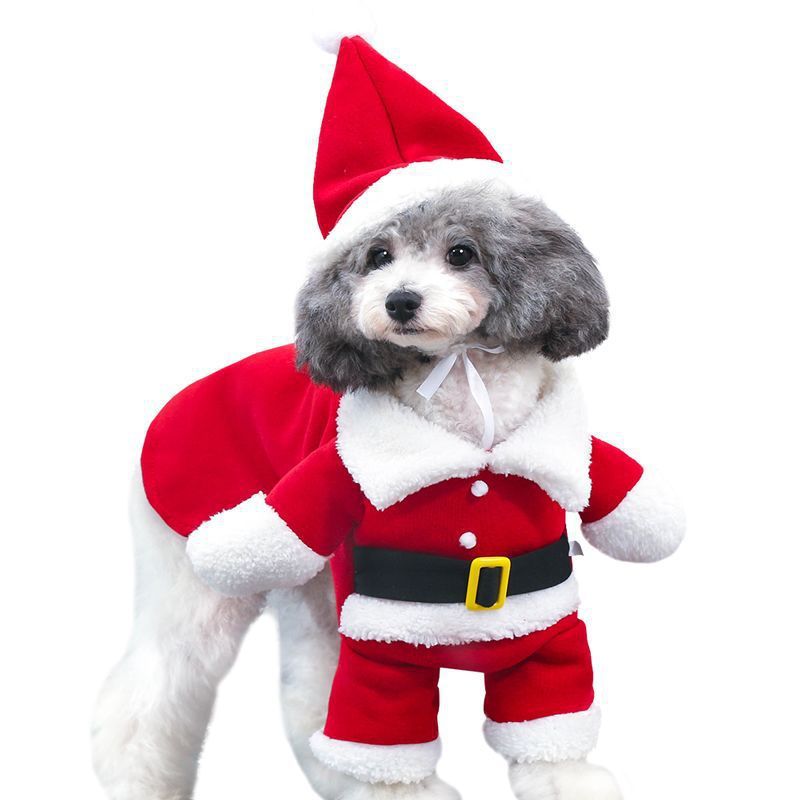 Santa Clause Pet Costume