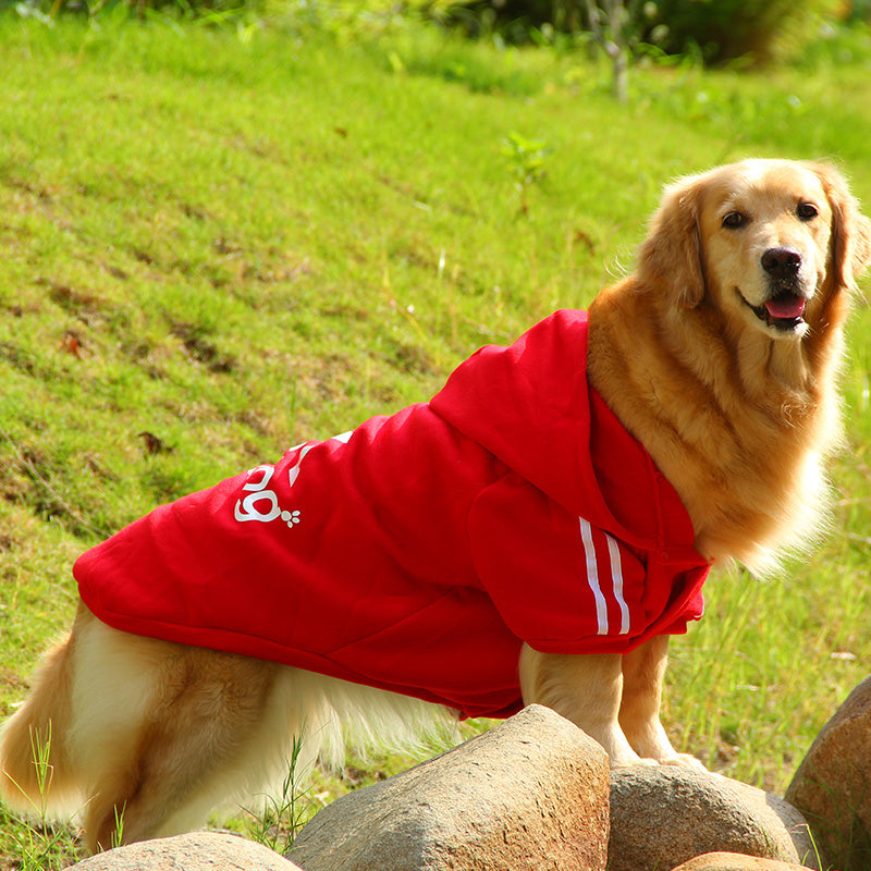 Dog Sweater with Hood