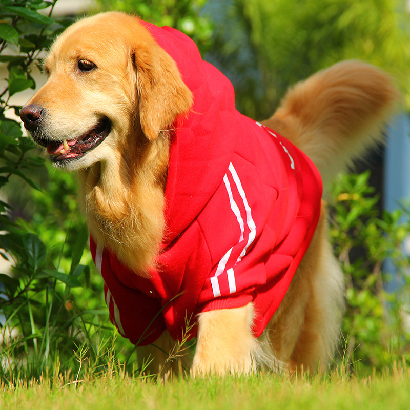 Dog Sweater with Hood