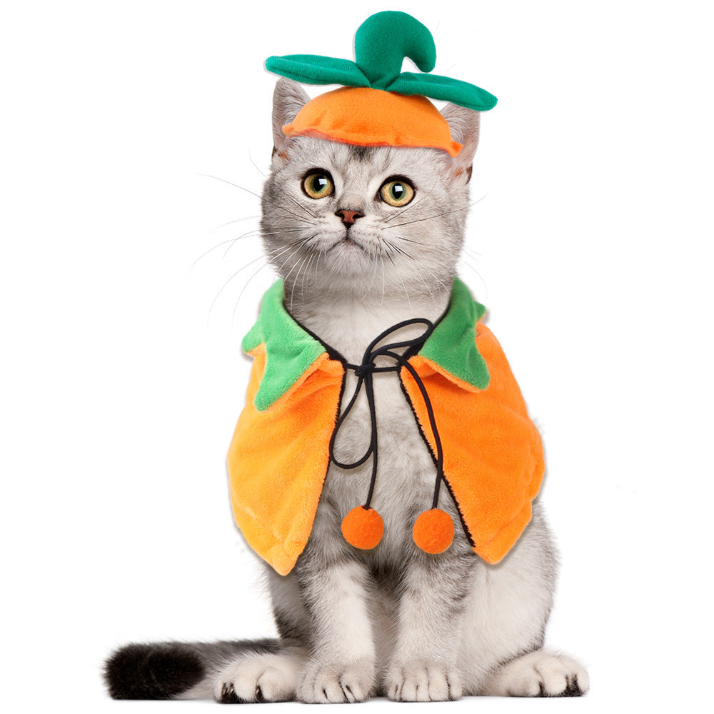 Dog & Cat Halloween Pumpkin Double-sided Cloak