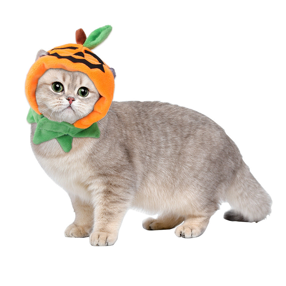 Dog & Cat Halloween Pumpkin Double-sided Cloak