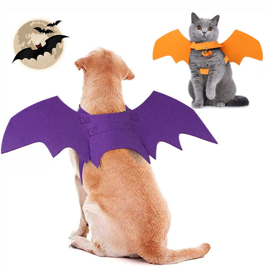 Halloween Bat and Spider Pet Costume