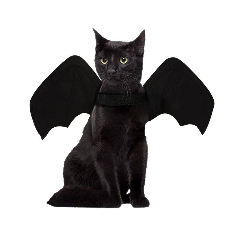 Halloween Bat and Spider Pet Costume